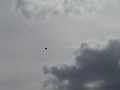 PICT0833.JPG